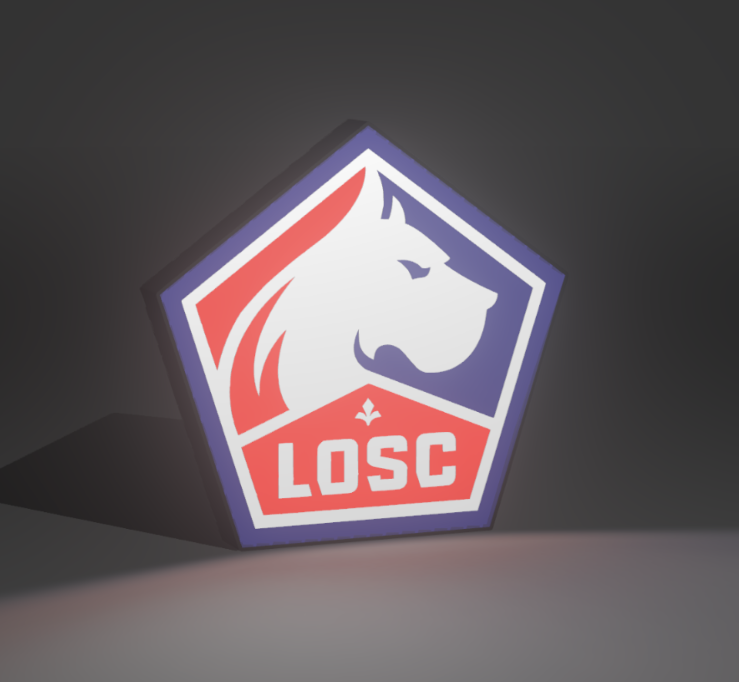 Lightbox Lille LOSC – Image 2
