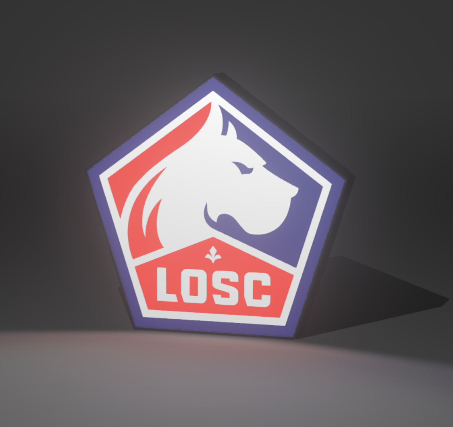 Lightbox Lille LOSC – Image 3